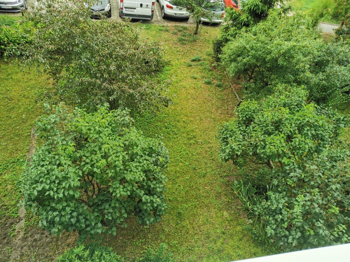 Apartament Apartament Wiewiorka Gdańsk Zewnętrze zdjęcie