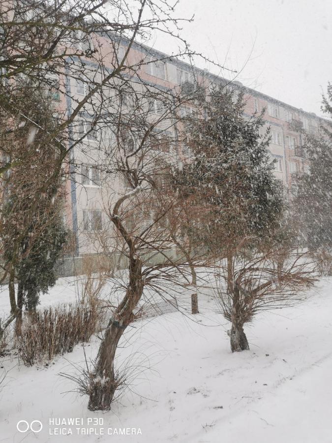 Apartament Apartament Wiewiorka Gdańsk Zewnętrze zdjęcie