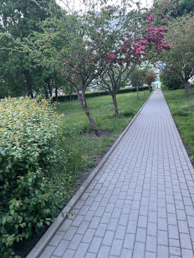 Apartament Apartament Wiewiorka Gdańsk Zewnętrze zdjęcie