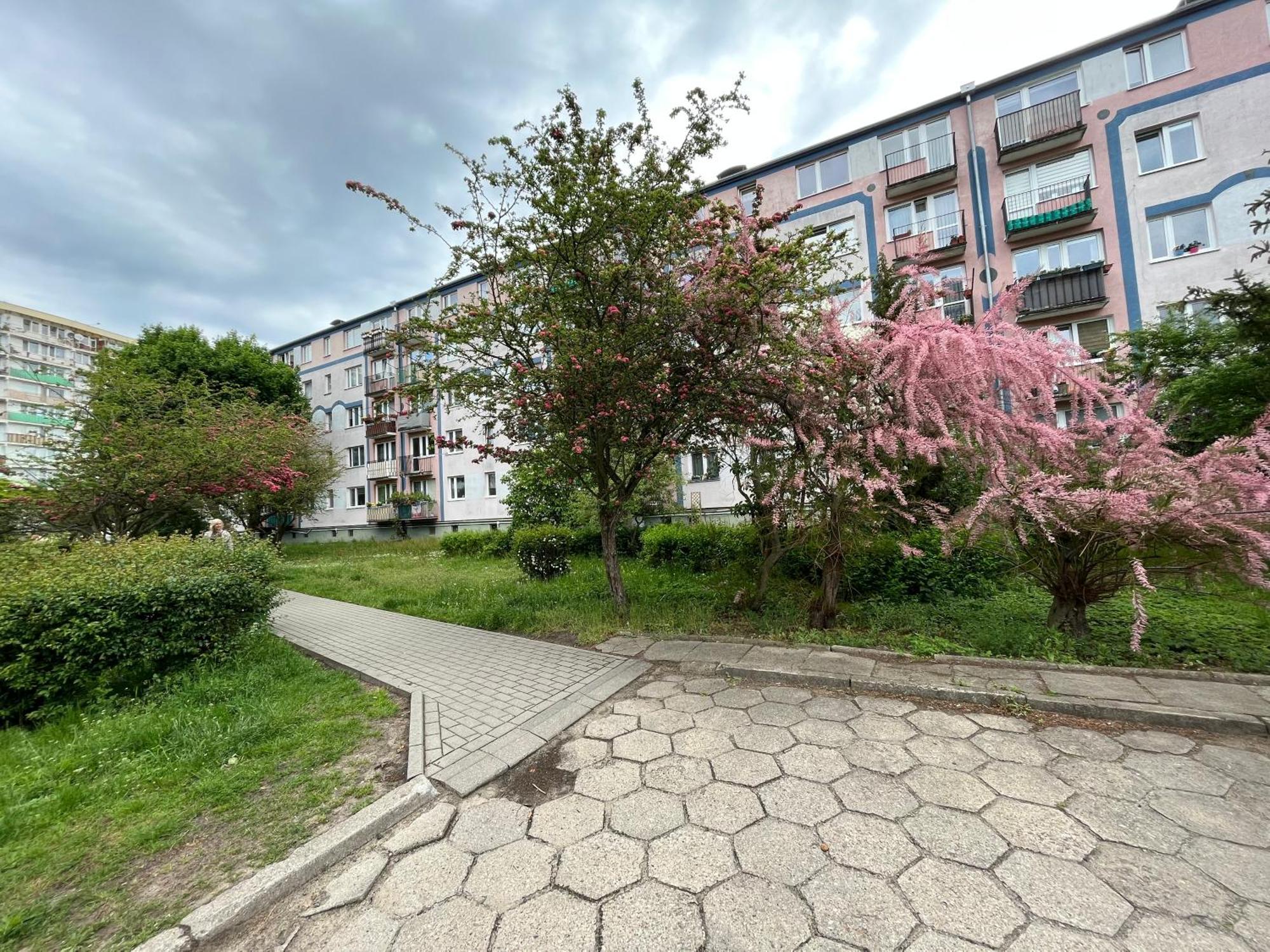 Apartament Apartament Wiewiorka Gdańsk Zewnętrze zdjęcie