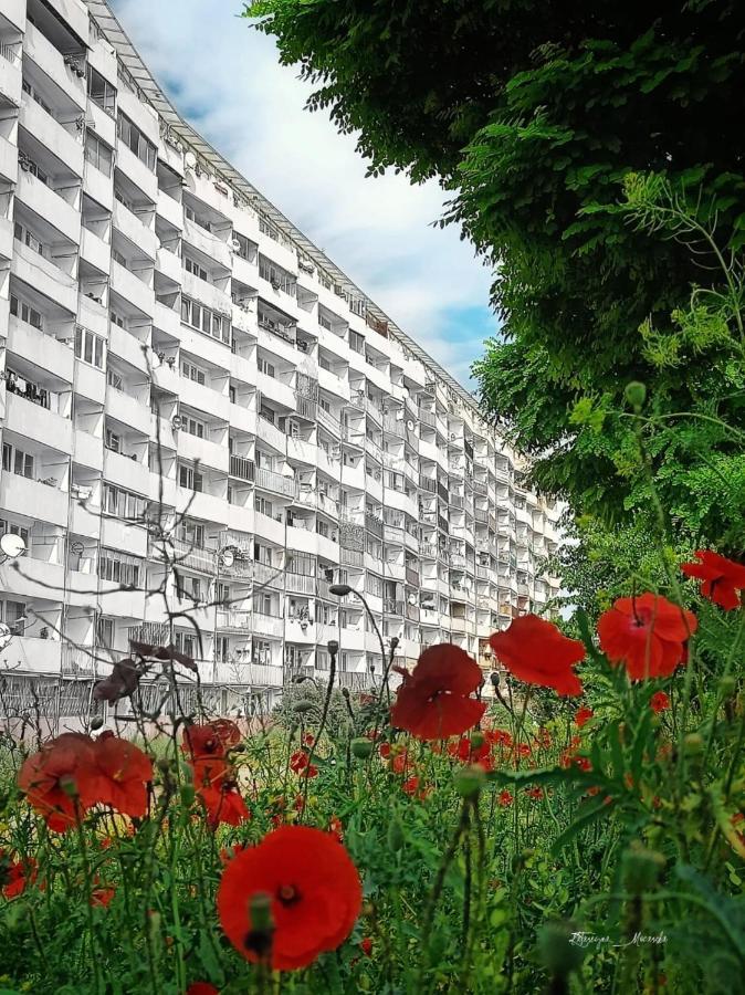 Apartament Apartament Wiewiorka Gdańsk Zewnętrze zdjęcie